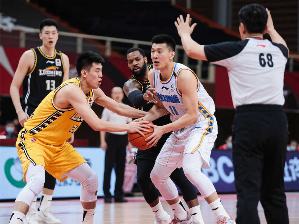 提供了高质 提供了高质